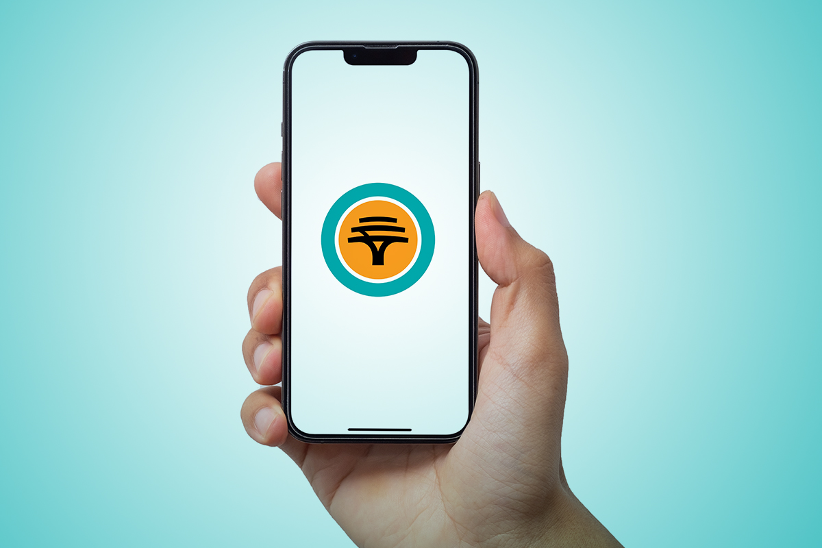 FNB slashes car licence disc renewal fee — with a catch