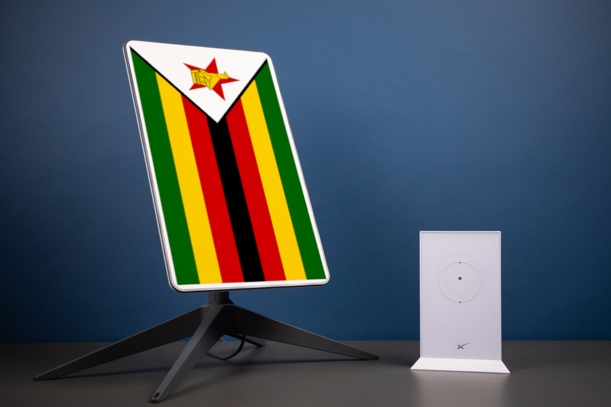 Fake solar panels and streetlight camouflage — Zimbabweans hiding Starlinks to fool police